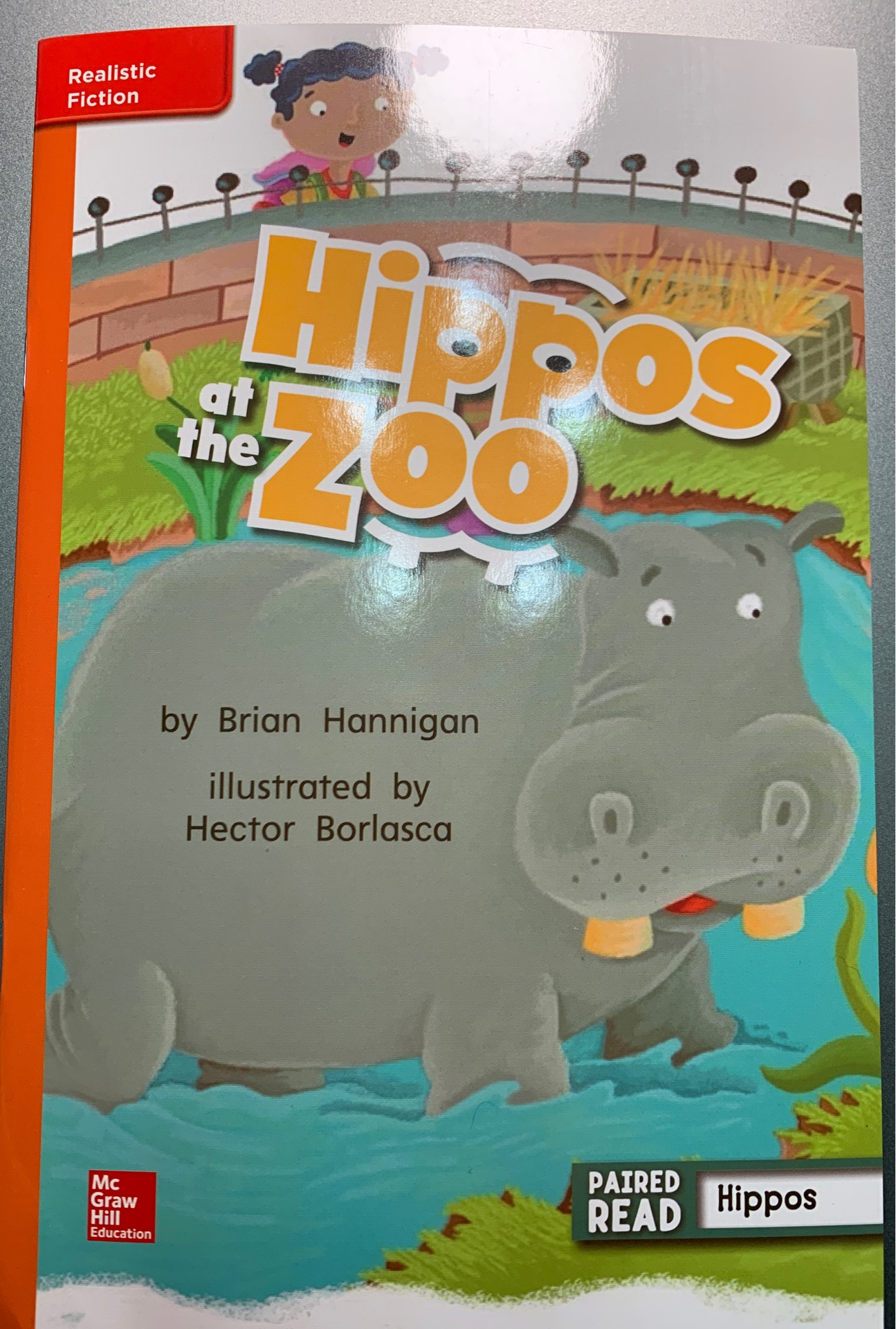 hippos at the zoo