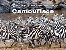 Camouflage (Science for Toddlers)