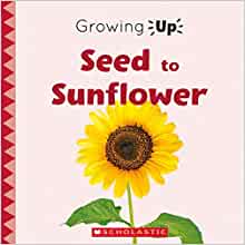 Seed to Sunflower (Growing Up) (Paperb