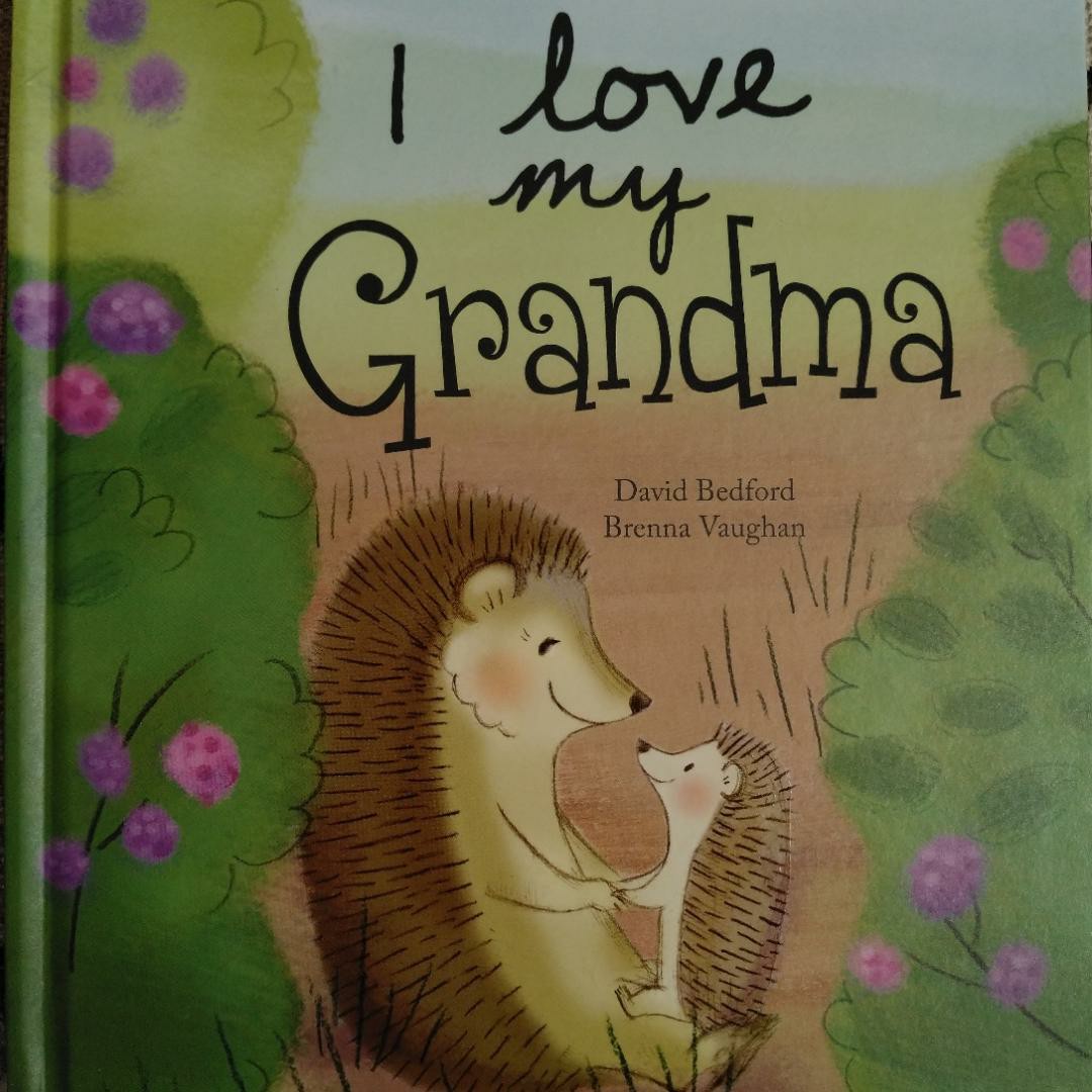 I Love My Grandma - Picture Story Book
