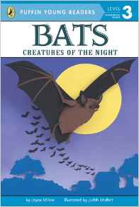 Bats: Creatures of the Night (Puffin Y
