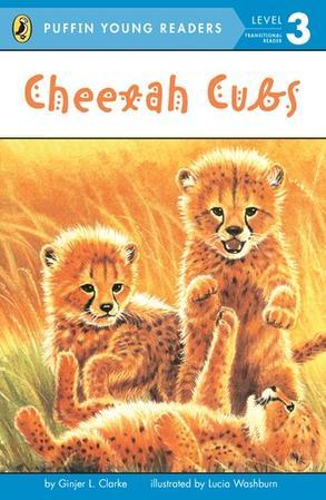 Exp Cheetah Cubs