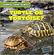 Turtle or Tortoise? (Animal Look-Alike