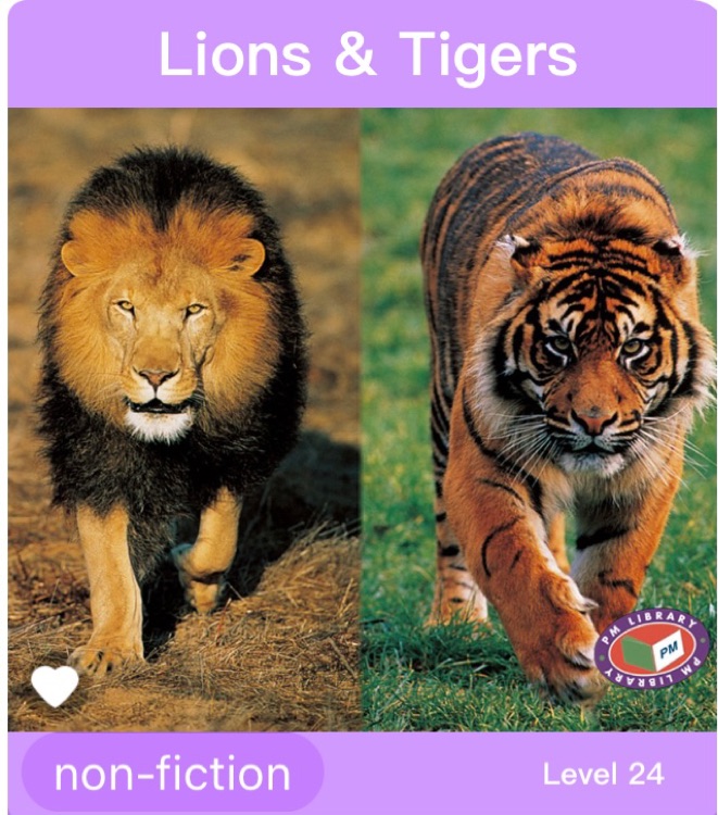 Lions and Tigers PM Non Fiction Animal