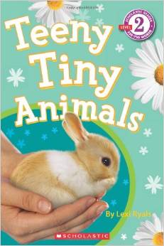 Teeny Tiny Animals