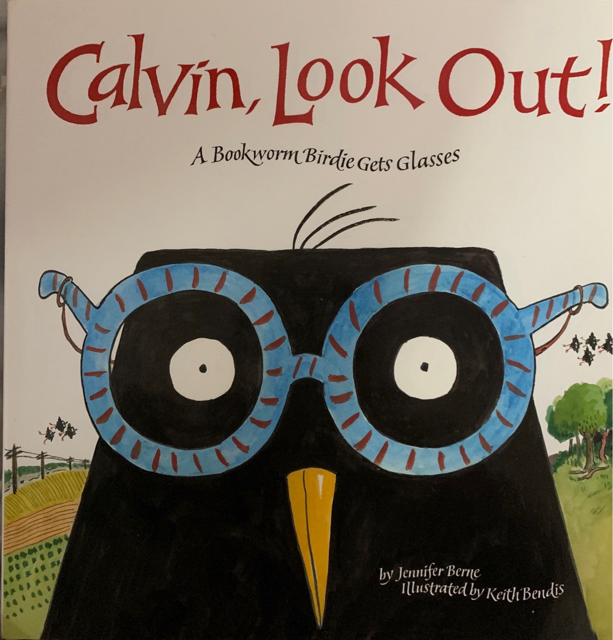 Calvin, Look Out!