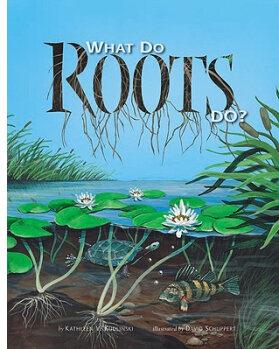 What Do Roots Do?