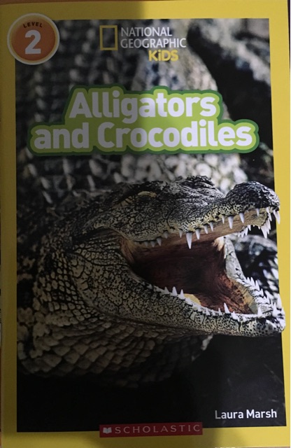 Alligators  and Crocodiles