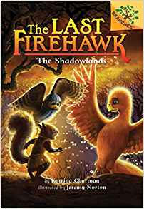 The Shadowlands: A Branches Book (The 