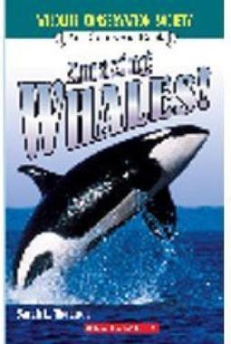 AMAZING WHALES