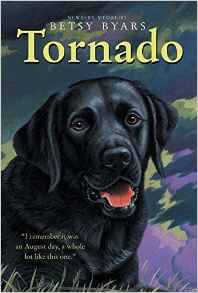 Tornado (Trophy Chapter Books (Paperba