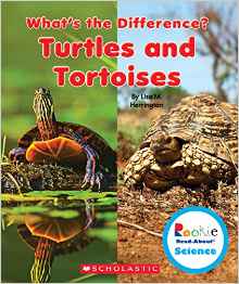 Turtles and Tortoises (Rookie Read-Abo