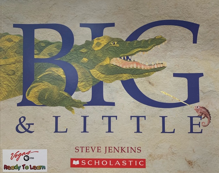 Big & Little