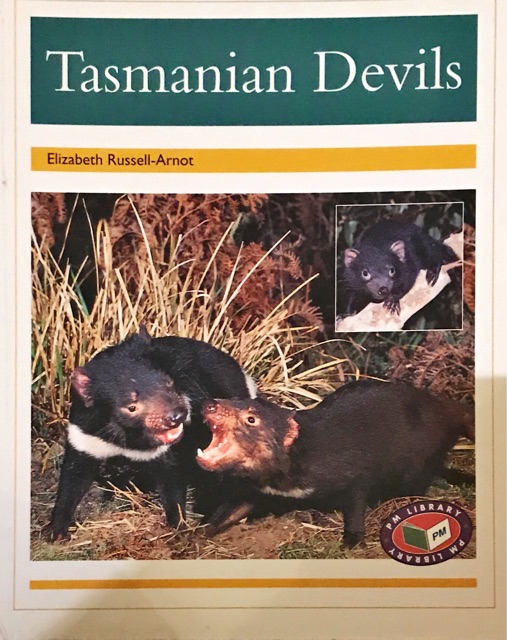 Tasmanian Devils PM Non Fiction Animal