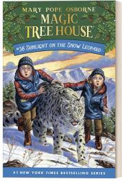 英文原版 神奇树屋 #36 Magic Tree House Sunligh