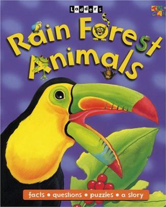Rainforest Animals
