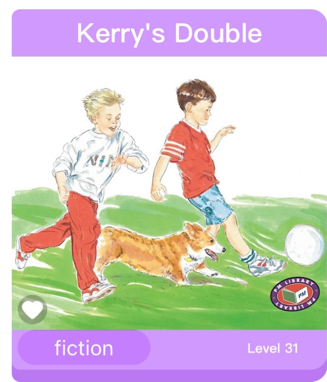 Kerry's Double PM Level 23 Set A Silve