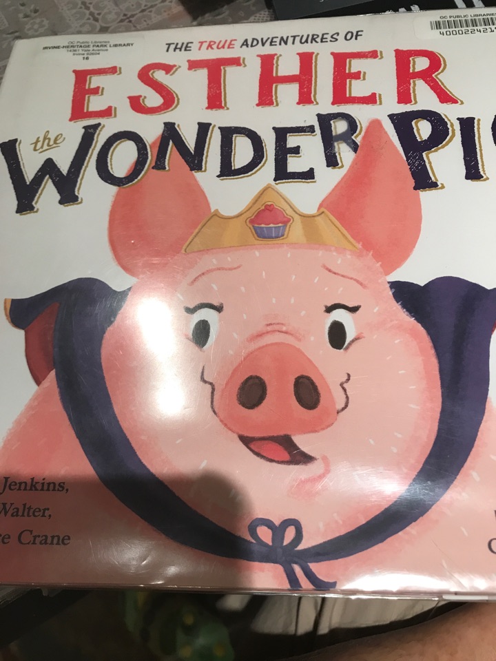 Esther the wonder pig