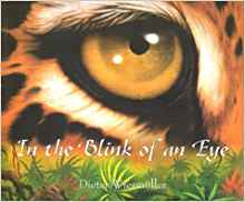 In the Blink of an Eye