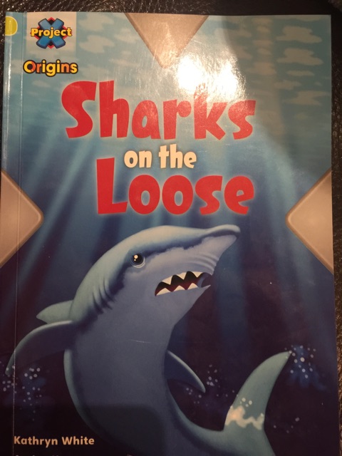 Sharks on the loose