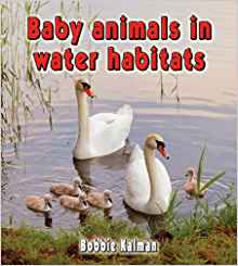 Baby Animals in Water Habitats (Habita