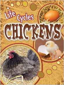Chickens (Life Cycles (Rourke Paperbac