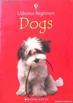 Dogs Usborne Beginners