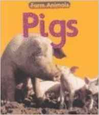 Pigs (Farm Animals)