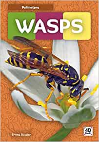 Wasps (Pollinators)