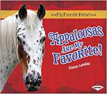 Appaloosas Are My Favorite! (My Favori