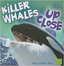 Killer Whales Up Close (Whales and Dol