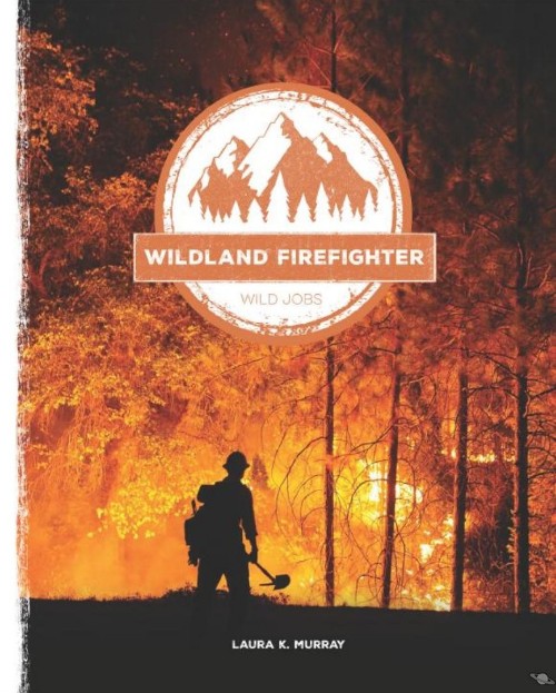 Wildland Firefighter