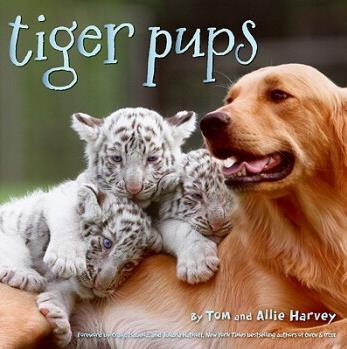 Tiger Pups  [4岁及以上]