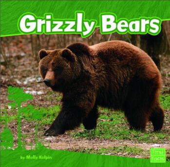 Grizzly Bears (First Facts: Bears)  [6