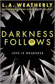 Darkness Follows
