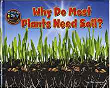 Why Do Most Plants Need Soil? (Down & 