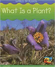 What Is a Plant? (World of Plants)
