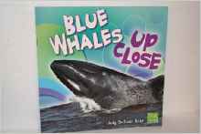 Blue Whales Up Close (Whales and Dolph
