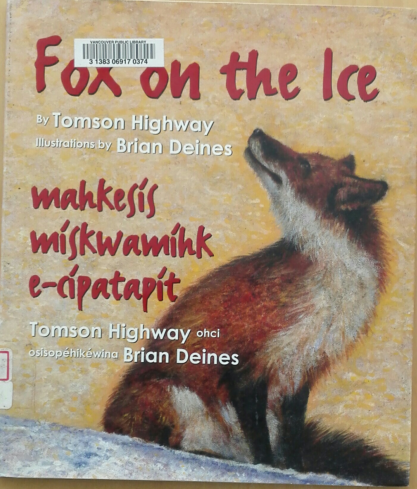 fox on the ice