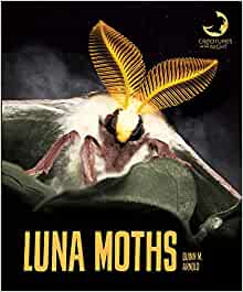 Luna Moths (Creatures of the Night)