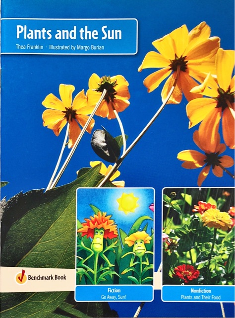 Lbd G2k Funf Plants and the Sun