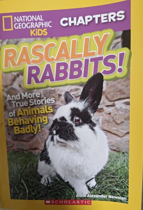 Rascally rabbits!