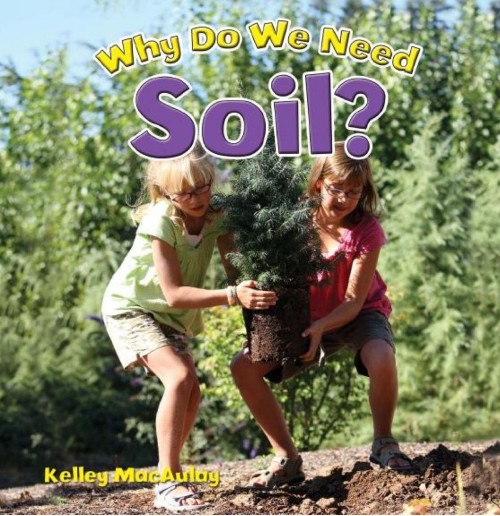 Why Do We Need Soil