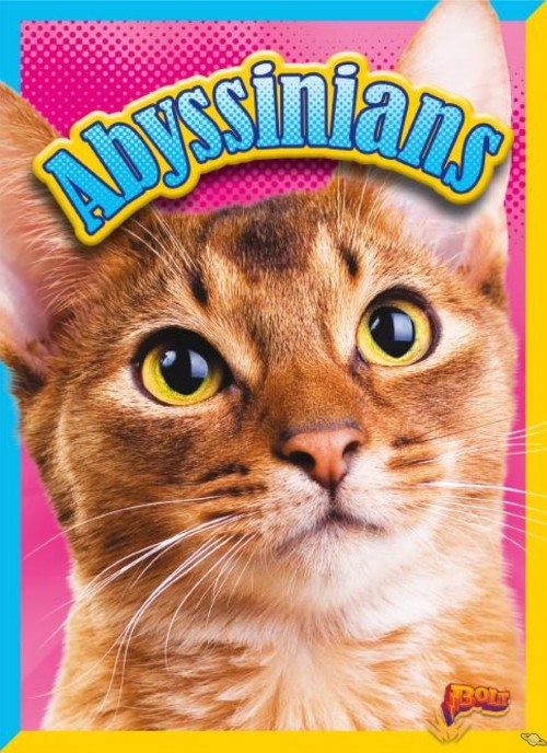 Abyssinians