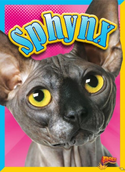 Sphynx