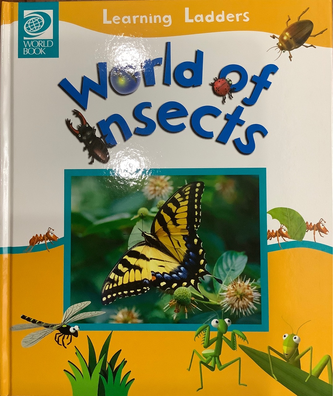 Learning Ladders I: World of Insects