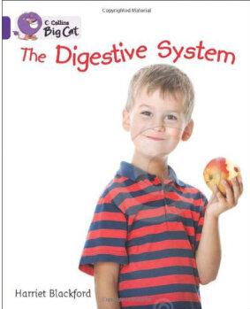 Collins Big Cat - The Digestive System