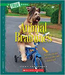 Animal Brainiacs (True Books: Amazing 