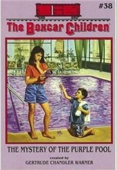 The Boxcar Children#38:The Mystery of 