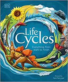 Life Cycles: Everything from Start to 